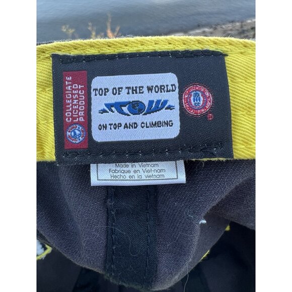 Vintage 90s Top of the World Michigan Wolverines embroidered 3D blue adjustable - Picture 11 of 13